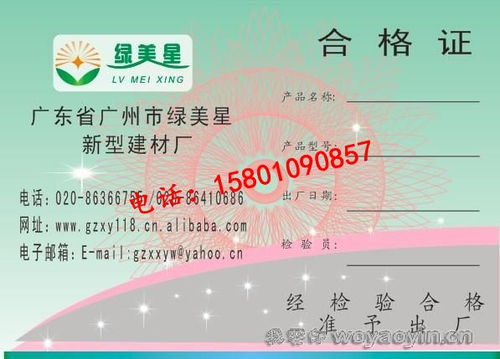 北京網(wǎng)絡(luò)技術(shù)服務(wù) 賦能數(shù)字時代的創(chuàng)新引擎